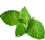 mieta.png